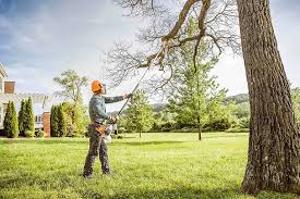 Best Lawn Pest Prevention  in Dumas, TX