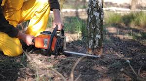 Landscape Design and Installation in Dumas, TX