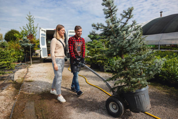 Best Commercial Tree Services  in Dumas, TX