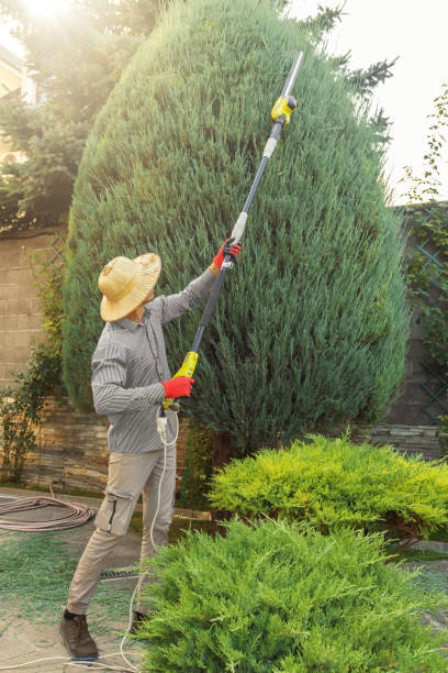 Best Soil Testing and Treatment  in Dumas, TX